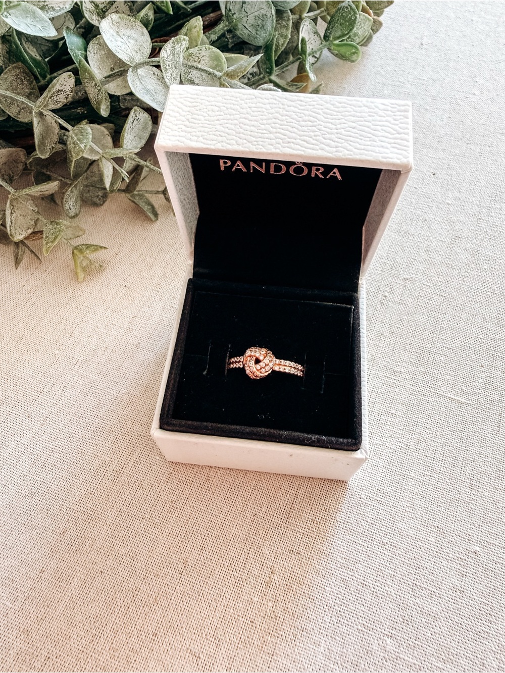 Pandora Rose Sparkling Love Knot Ring CZ Size 7